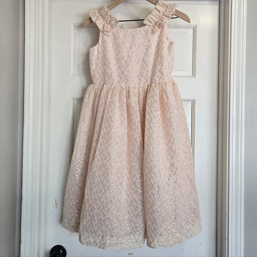 Janie and Jack Center Stage Formal Ruffle Tulle Dress Zip Back Pink Gold Size 12